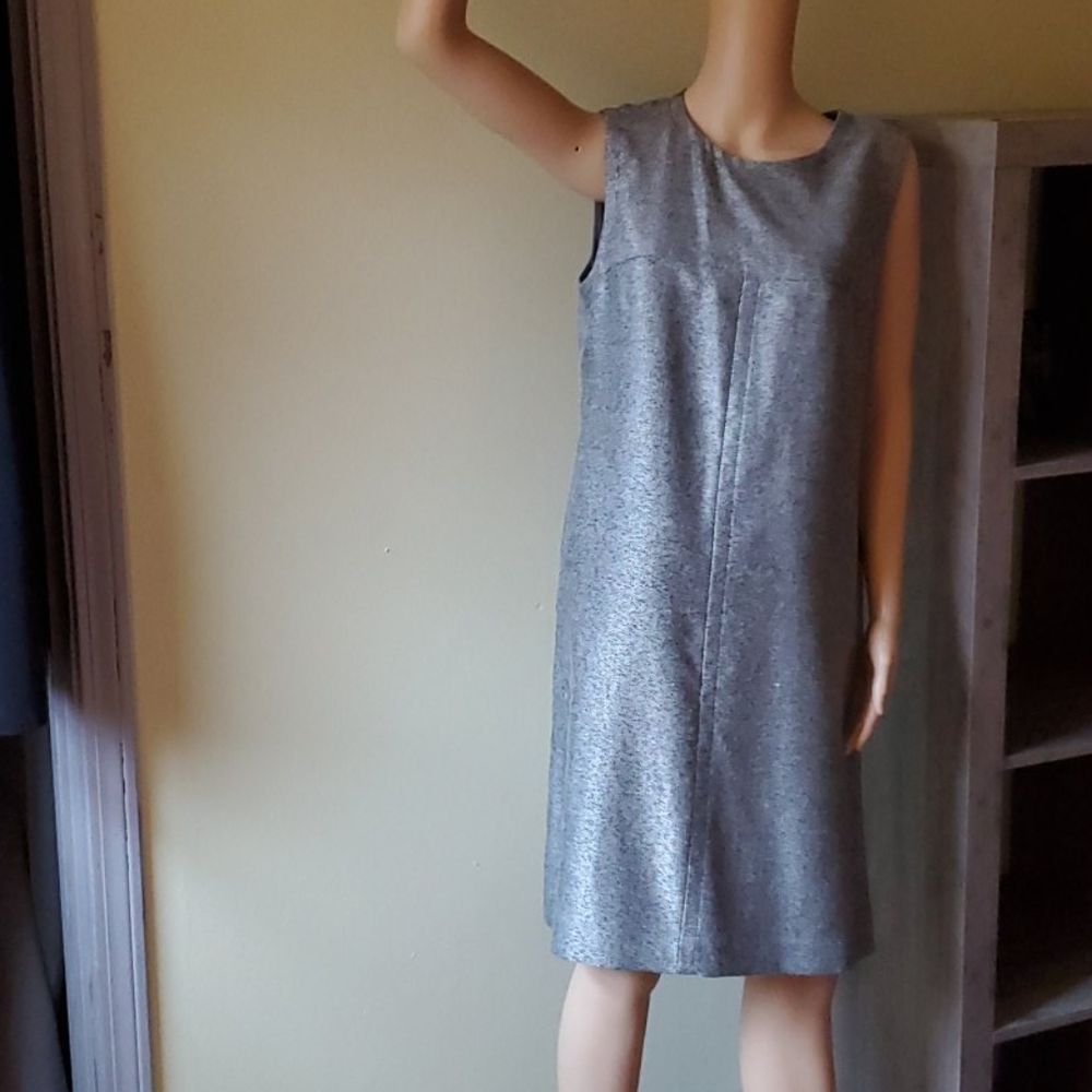 Ann Taylor Dress